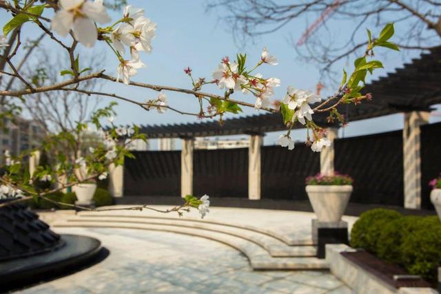 熊猫体育_现代铁路建设是如何不影响野生动物自由迁徙的?(图4) 熊猫体育