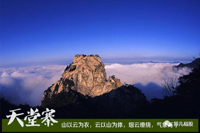 福建碳交易市场：用市场化的手段撬动绿色低碳新动能【熊猫体育】