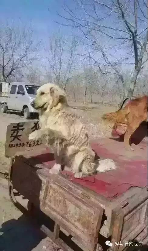 浙江湖州:让“绿色细胞”遍布各行各业“xiongmao体育”(图3) panda sports